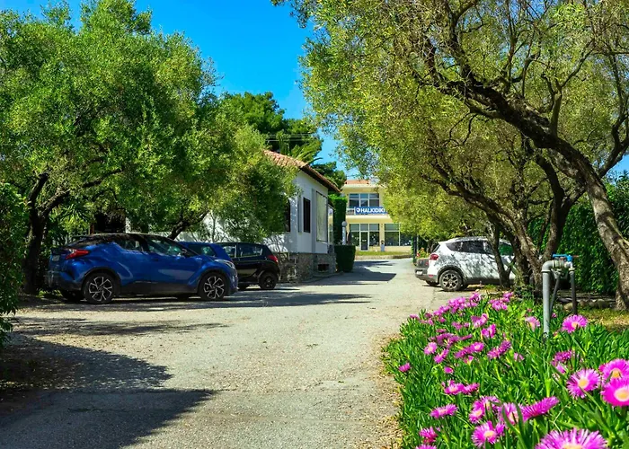 Village فندق